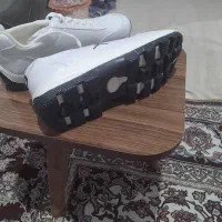 کتونی نو اصلا استفاده نشده بدلیل سایز نبودن