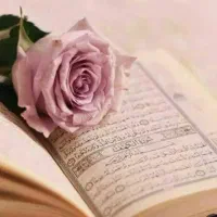 سرکتاب احضار صد درصدی