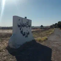 زمین ۳۰۰ متری سند دار شهرک ابریشم