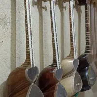 پوست و پرده و سیم تار