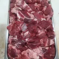 پخش مایه کباب کوبیده تازه تولید روز((پخش امید))