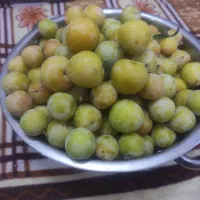 الو تازه چین باغ خوشمزه