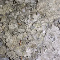 کود کبوتر یا ( زیل کبوتر )