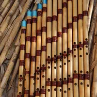 فروش ویژه نی حرفه ای