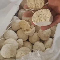 همه چیز موجود است