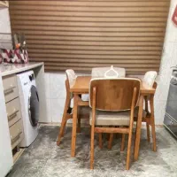 پرده زبرا در حده نو