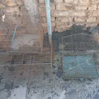 سه قفس سایز بزرگ متوسط کوچک