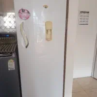 یخچال و فریزر  فارسان.