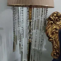 آباژور کاملا سالم ونو