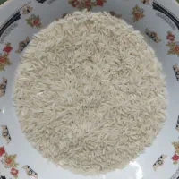 برنج شیرودی