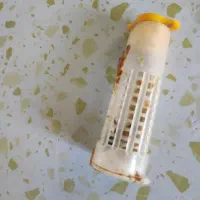 ملکه زنبور عسل کارنیکا اصل