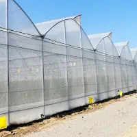 پلاستیک گلخانه uv