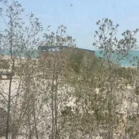 زمین تعاونی کارخانه قند
