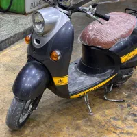 پاکشتی