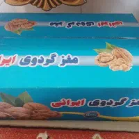 فروش و پخش مغز گردو ایرانی روغنی سغید وتازه