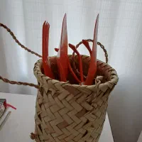 ست باغبانی برزیلی برای خوش سلیقه ها