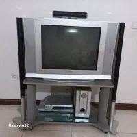 تلوزیون