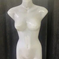 مانکن بالاتنه پوشاک بانوان