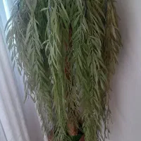 درختچه مصنوعی بید مجنون