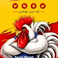 نیرو آقا و خانم