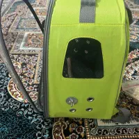 کوله حمل پرنده و لانه