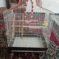 قفس عروس