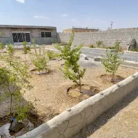 فروش-باغ-خوش-جا-در-علی-آباد