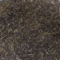 زیره سیاه کوه کیبر
