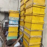 کندو خالی و طبق