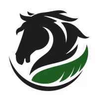 چت دیوار در خدمتم