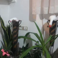 فروش گله طبیعی
