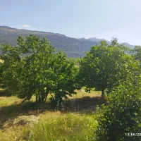 فروش-زمین-کشاورزی