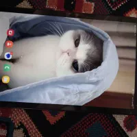تبلت سامسونگ تب ۸