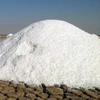نمک دریا