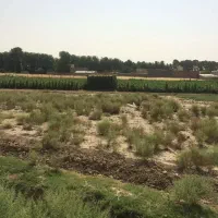 717مترزمین-کشاورزی-کنار-بافت-روستا