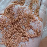 خاکشیر نو بو جاری شده عمده