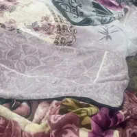 پتو  نو و اقتصادی