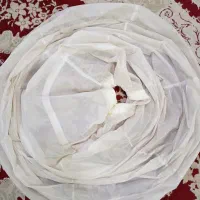 ژپون