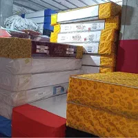آنتی باکتری/عرضه تخصصی*مدلplus