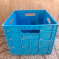 سبد