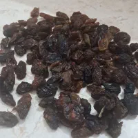 مویز ملاتی درجه یک