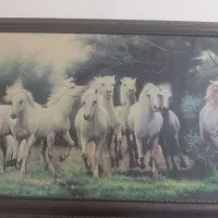 دو عدد تابلو دیواری