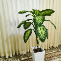 فروشی با گلدان سفالی