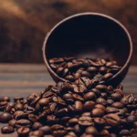 استخدام در کافه