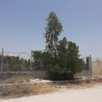 باغ شهری