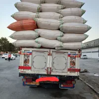 فروش کاه گندم دیم تحویل سراسر کشور