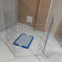پارک سگ