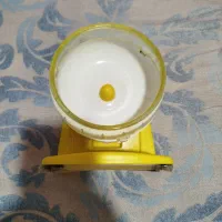 چرخ فلک همستر