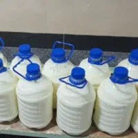 ماست و دوغ محلی با طعمی بی نظیر‌