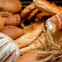 خمیرگیر چونه گیر بربری دائم با بیمه نانوایی